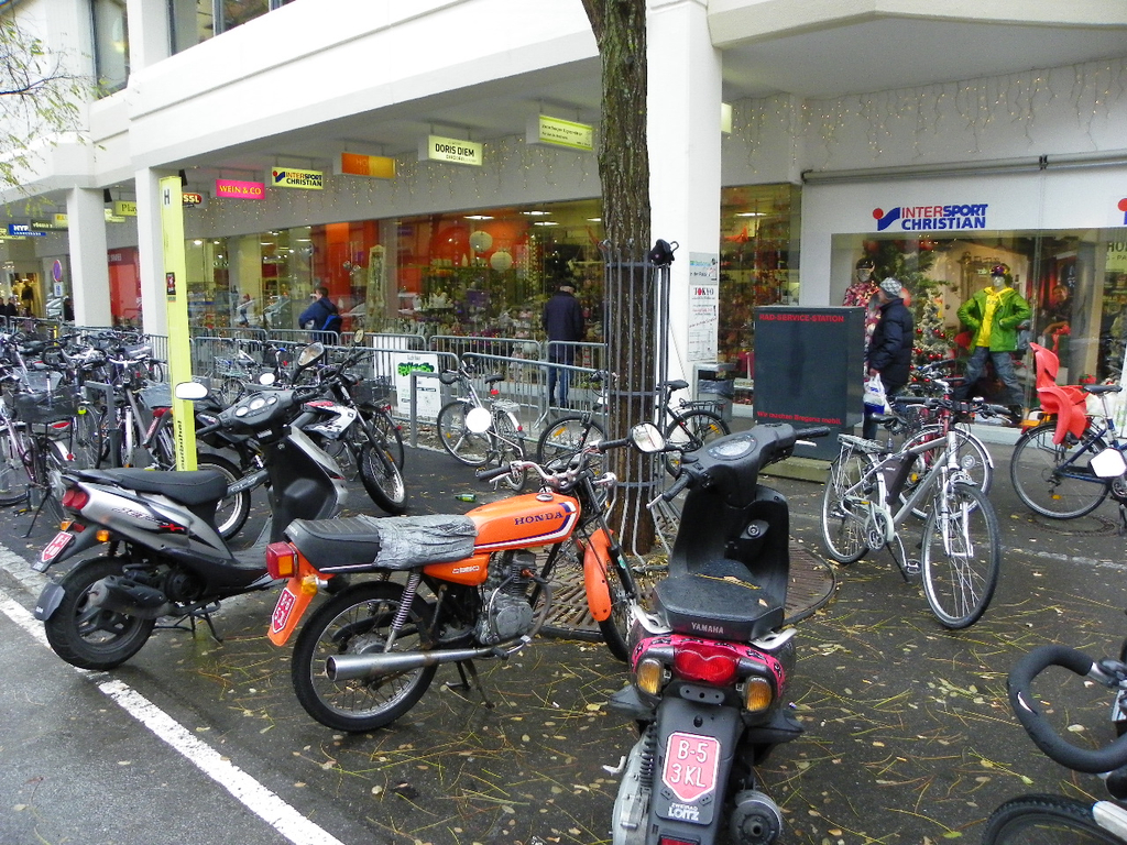 113_3461_JPG-1323475658