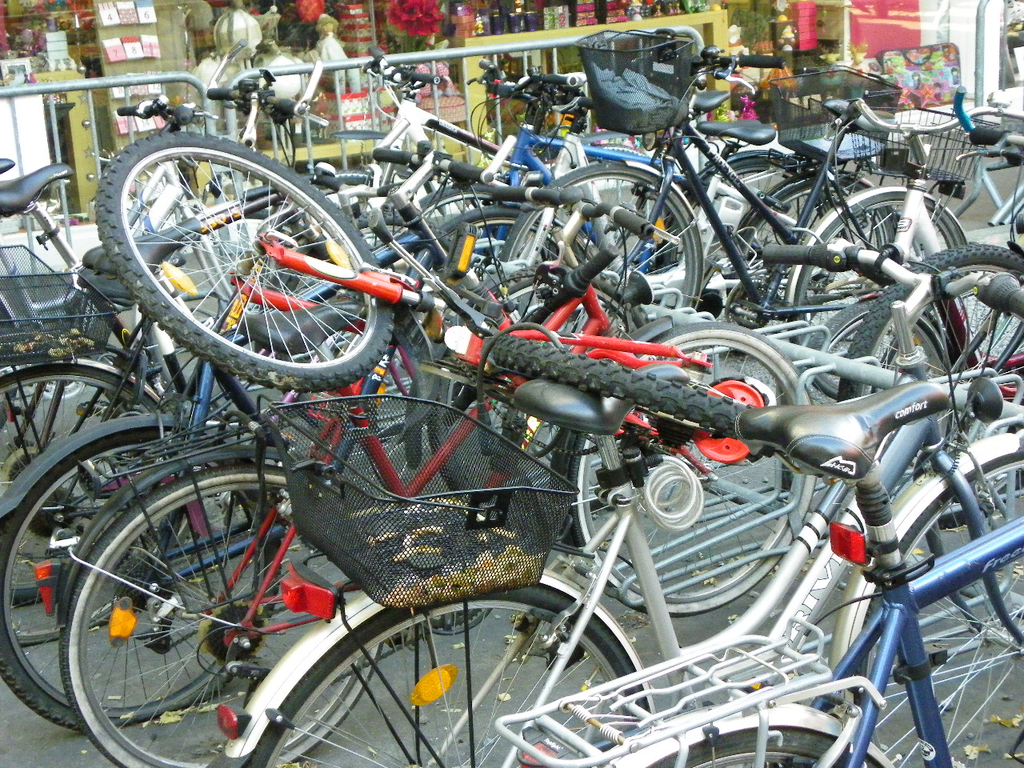 113_2096_JPG-1323475640