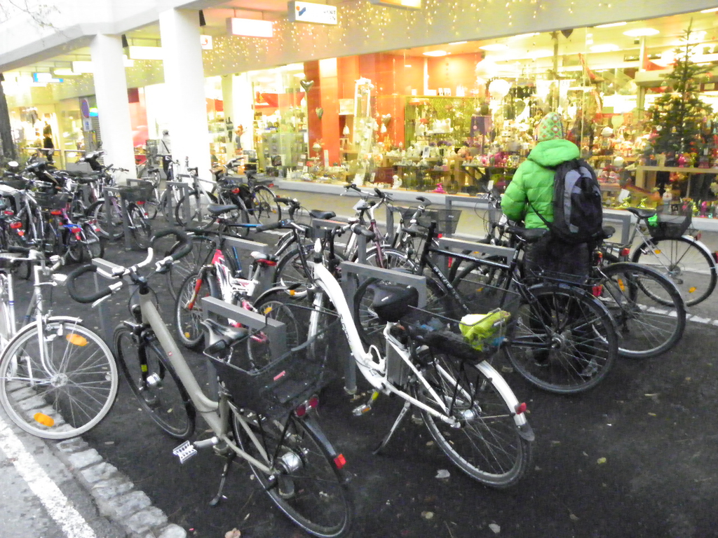 113_4458_JPG-1323475725