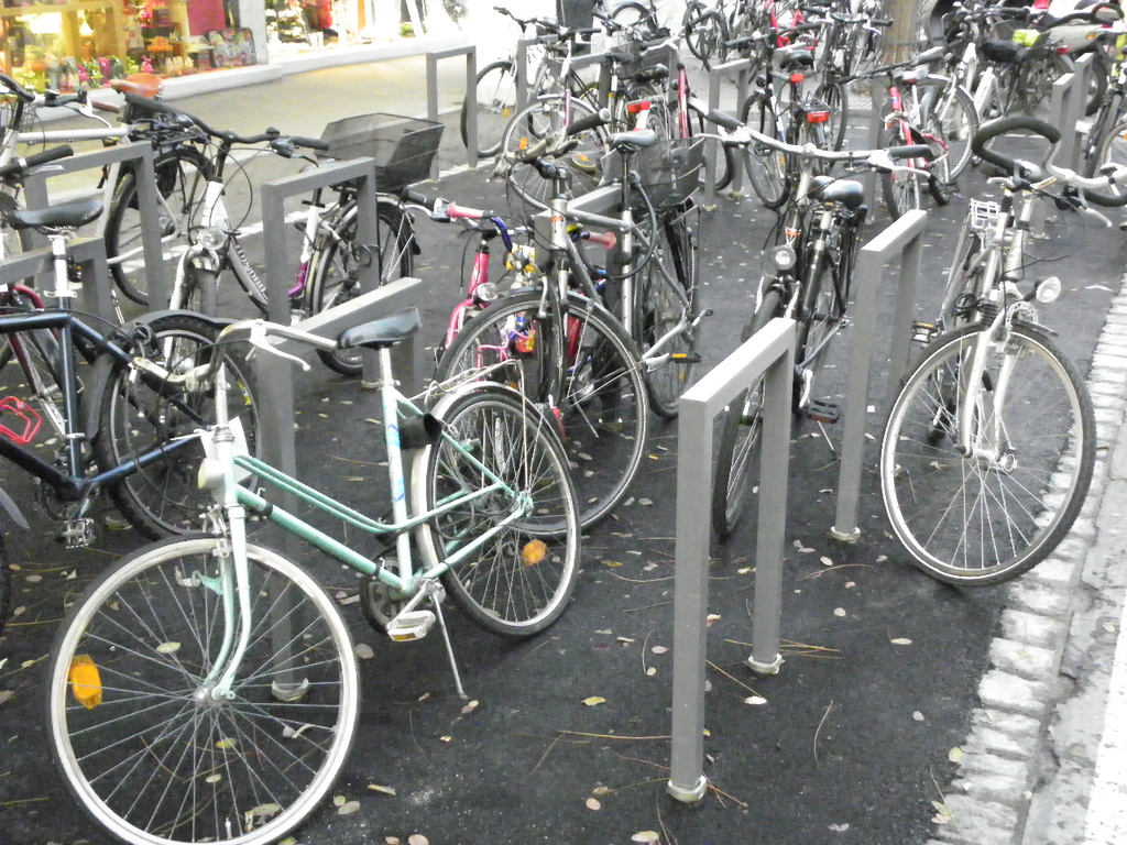 113_4456_JPG-1323475715