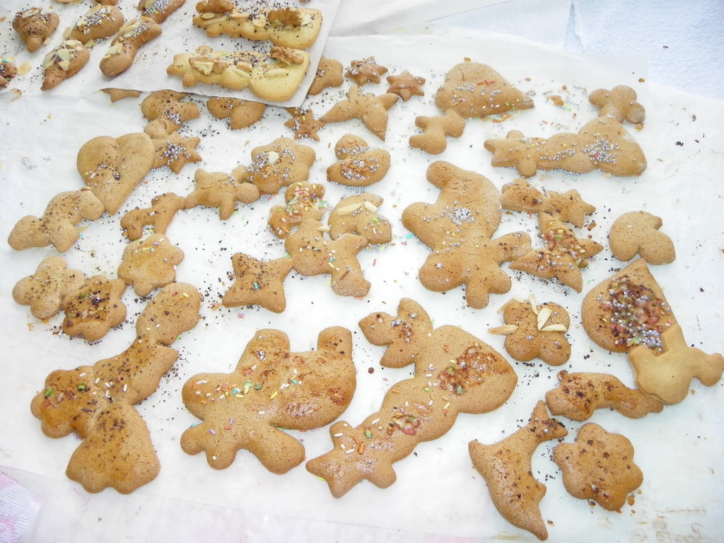 113_3467_JPG-1323480534