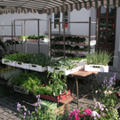 PICT0062.JPG