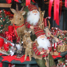IMG_4220_jpg-1323526630