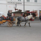 IMG_4242_jpg-1323526654