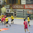 113_4325_JPG-1323534261