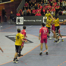 113_4335_JPG-1323534309