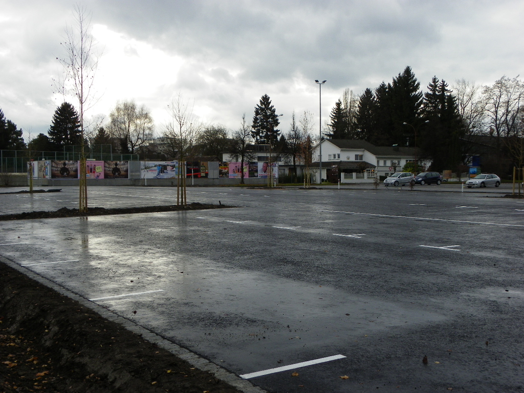 113_3531_JPG-1323534675