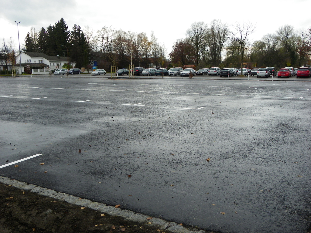 113_3532_JPG-1323534685