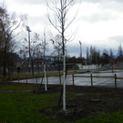 113_3533_JPG-1323534694