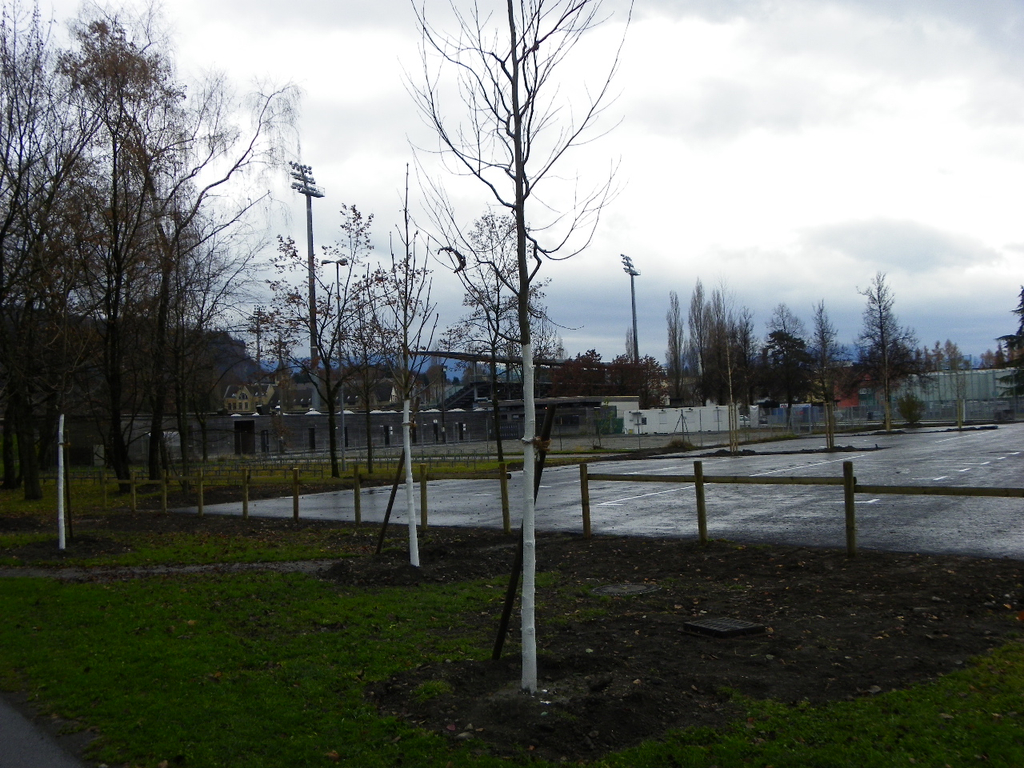 113_3533_JPG-1323534694