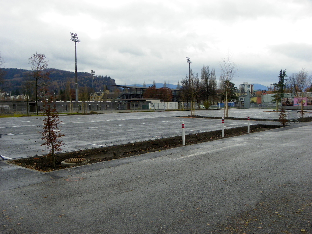 113_3535_JPG-1323534702