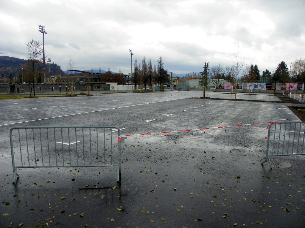 113_3537_JPG-1323534714