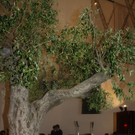 IMG_2482_jpg-1323587026