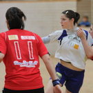 Handball Da_ und Hr_ FK   2011 019_jpg-1323595810