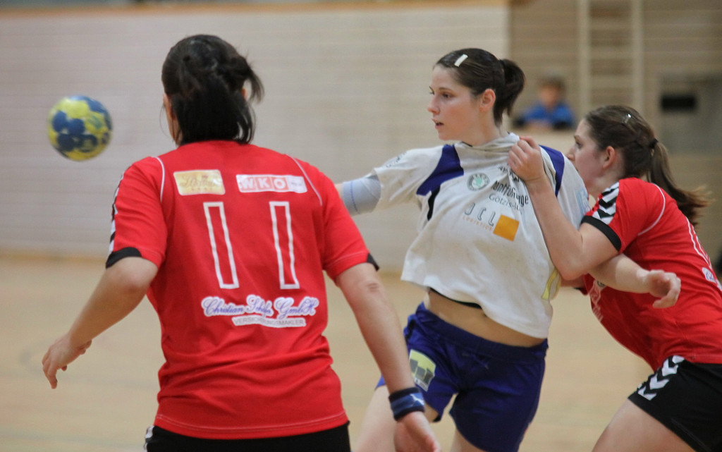 Handball Da_ und Hr_ FK   2011 019_jpg-1323595810