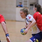 Handball Da_ und Hr_ FK   2011 032_jpg-1323595869