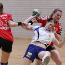 Handball Da_ und Hr_ FK   2011 036_jpg-1323595956
