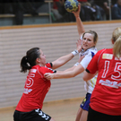 Handball Da_ und Hr_ FK   2011 123_jpg-1323596308