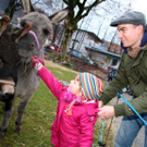 Schwarzacher Adventmarkt 8_jpg-1323620587