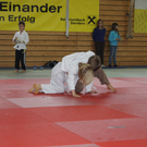 DSC02528_JPG-1323621113