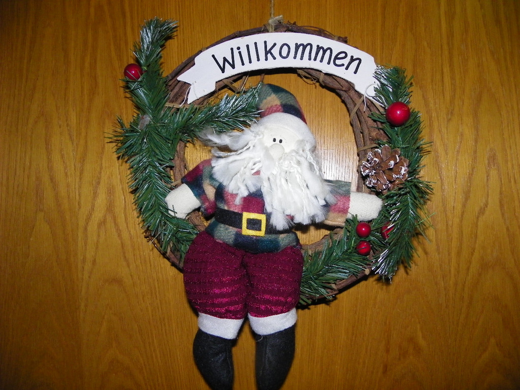 113_3545_JPG-1323637444