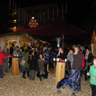 113_3293_JPG-1323648661