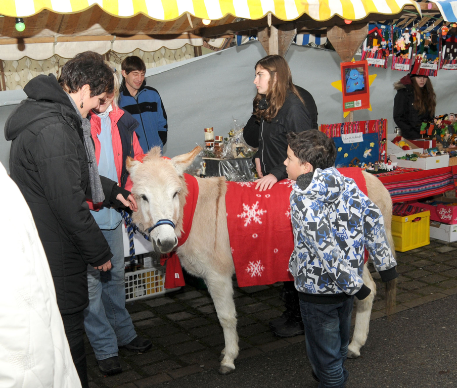 Markt Gaui__au 11_12_2011 1_jpg-1323677477