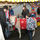 Markt Gaui__au 11_12_2011 1_jpg-1323682338
