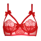 Red is the colour of Christmas_Agent Provocateur_Alina Red bra.JPG