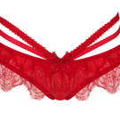 Red is the colour of Christmas_Agent Provocateur_Alina Red.JPG