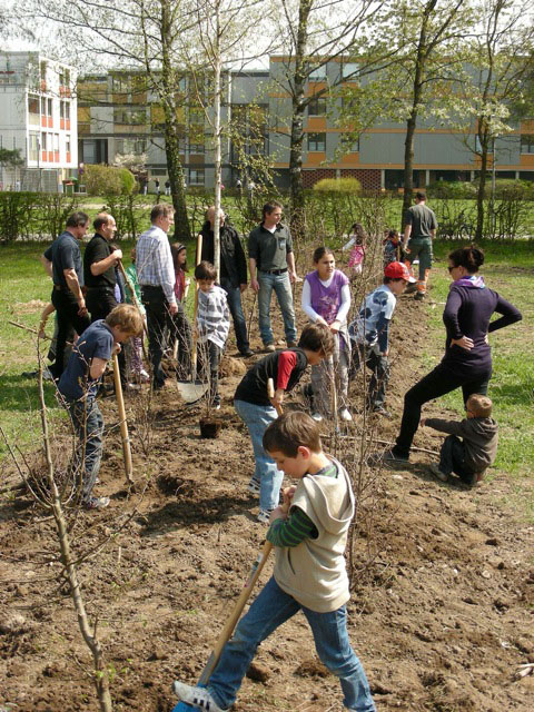 spielfeld3_03_jpg-1323792322