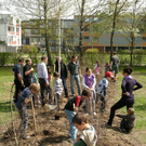 spielfeld3_03_jpg-1323792322