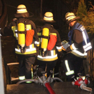 normal_13122011abrandrlaktivnews_20_101_.jpg