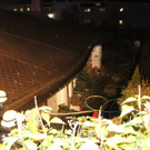 normal_13122011abrandrlaktivnews_20_104_.jpg