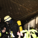 normal_13122011abrandrlaktivnews_20_107_.jpg