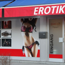 normal_13122011sexyffaktivnews_09.jpg