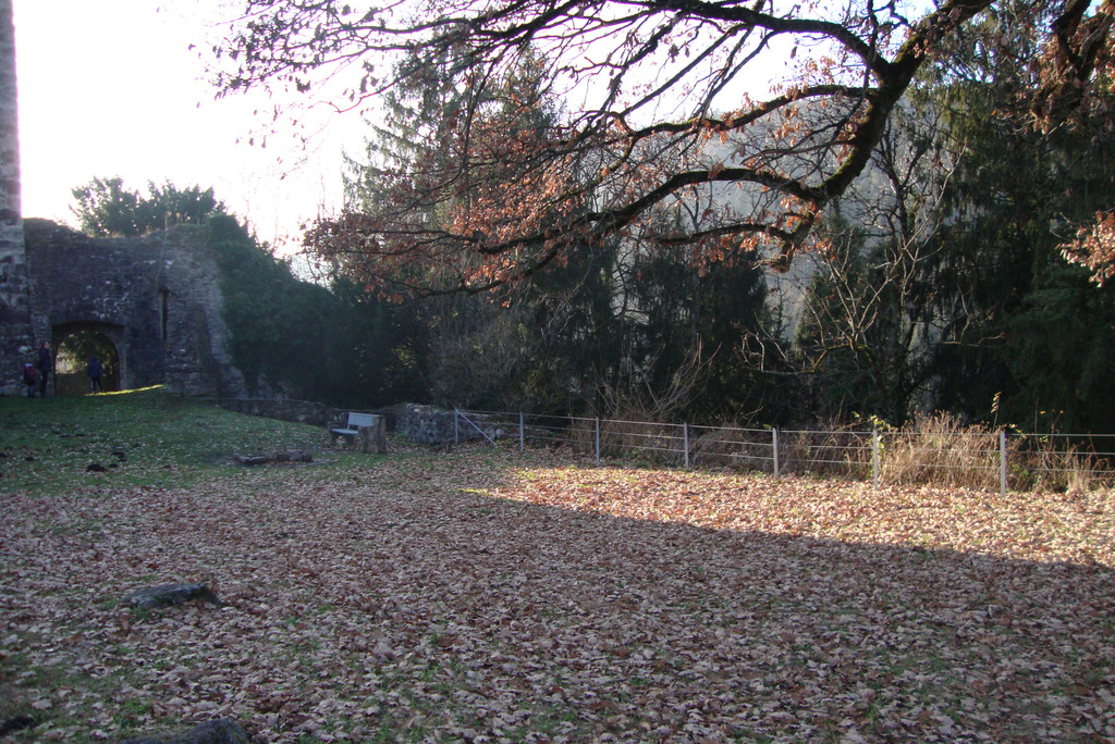 DSC03925_JPG-1323860741