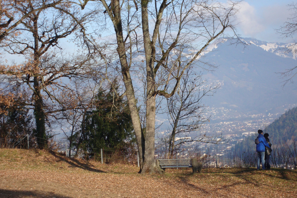 DSC03927_JPG-1323860788