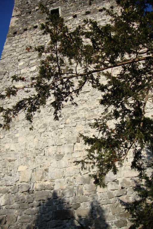 DSC03933_JPG-1323860946