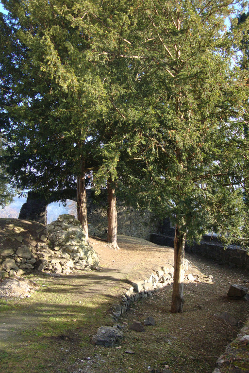 DSC03935_JPG-1323861016