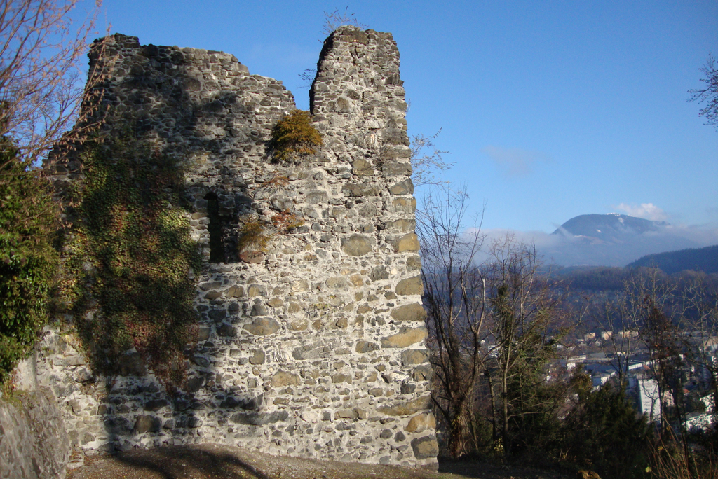 DSC03920_JPG-1323868556