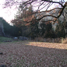 DSC03925_JPG-1323868651