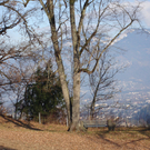 DSC03927_JPG-1323868700