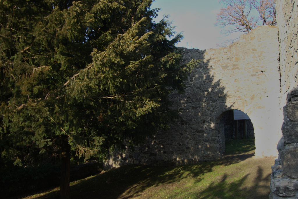 DSC03934_JPG-1323868864