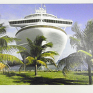 113_3319_JPG-1323911503