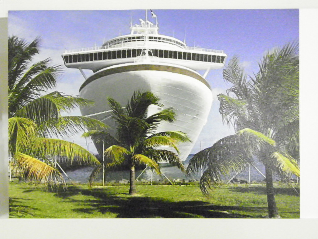 113_3319_JPG-1323911503