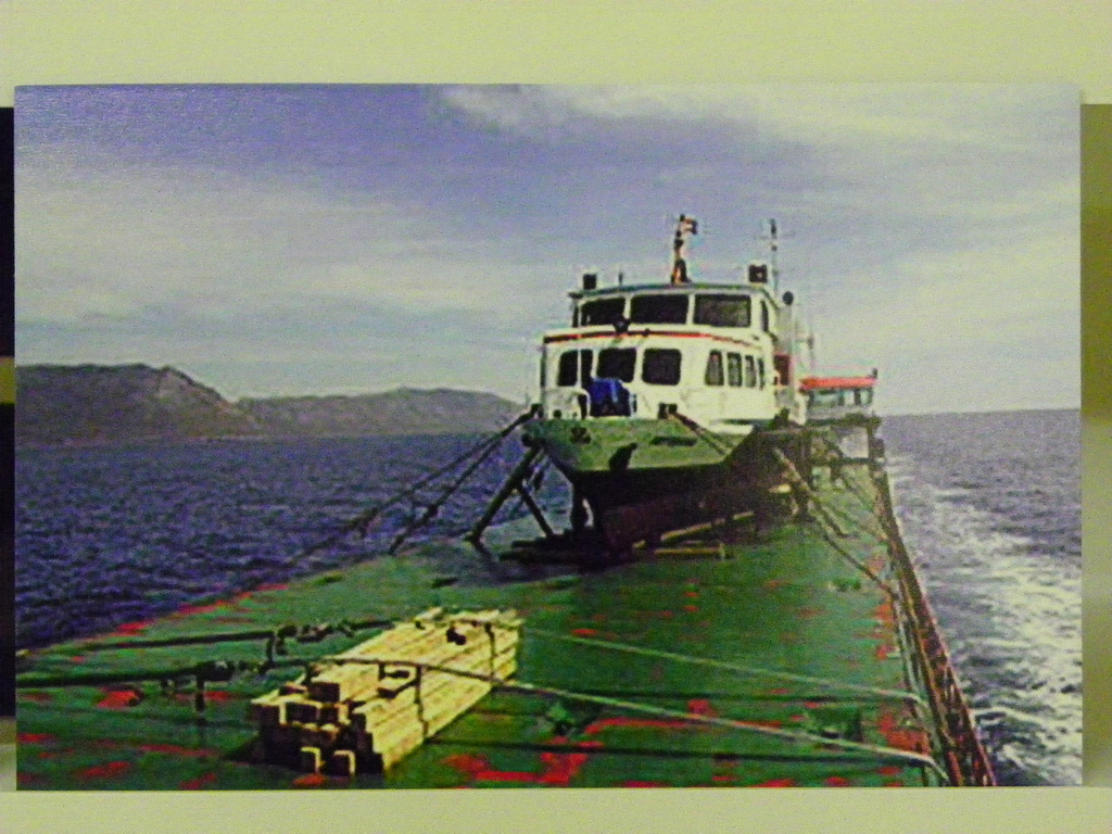 113_3320_JPG-1323911513