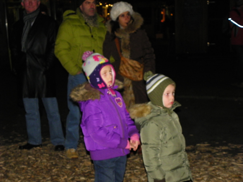 113_2447_JPG-1323911891