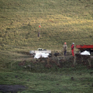 normal_14122011wucherffaktivnews_18.jpg