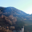 normal_14122011wucherffaktivnews_22.jpg